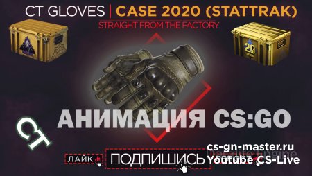 Пак перчаток COUNTER TERRORIST GLOVES: CASE 2020 (STATTRAK) CT