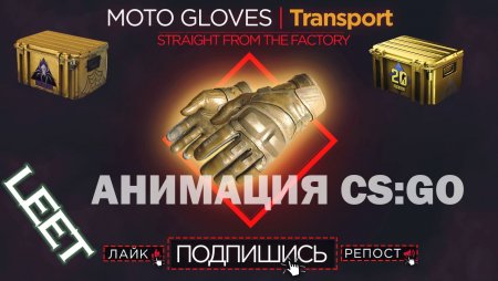Пак Оружия MOTO GLOVES - TRANSPORT TT